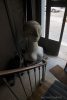 3ème arrondissement – La concierge est dans l’escalier rue des Francs Bourgeois