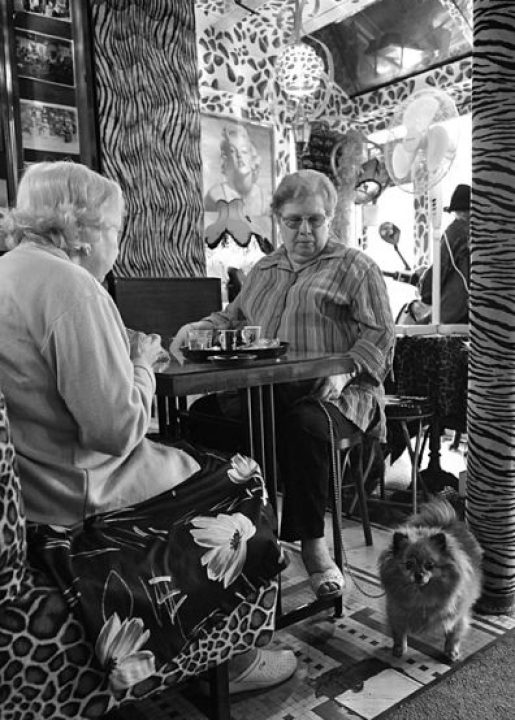 3ème arrondissement – Le petit chien du Café Le Temple