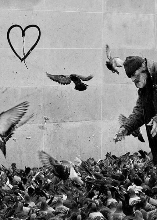 4ème arrondissement – Giuseppe, l’homme aux pigeons