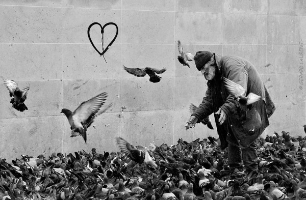 Giuseppe, l'homme aux pigeons de Beaubourg