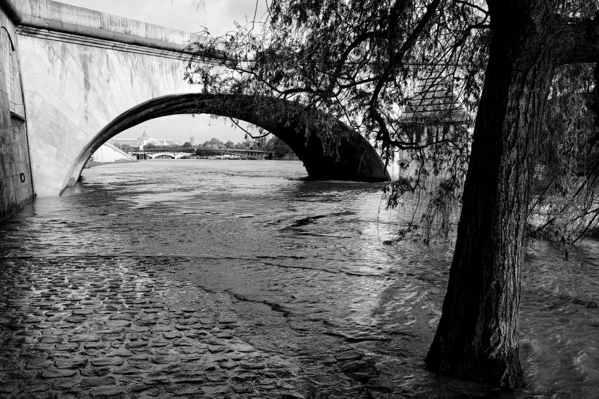 070019 - Le Pont Royal