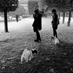 1er arrondissement – Se promener au jardin du Palais Royal