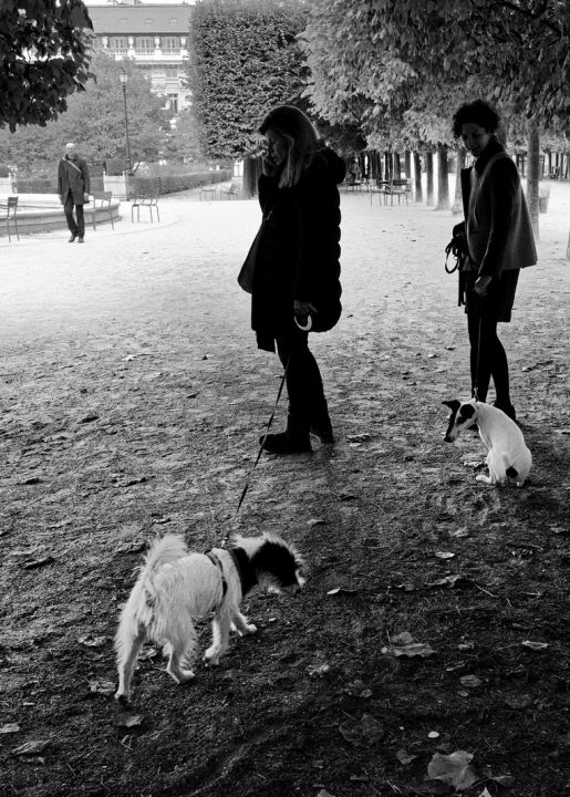 1er arrondissement – Se promener au jardin du Palais Royal