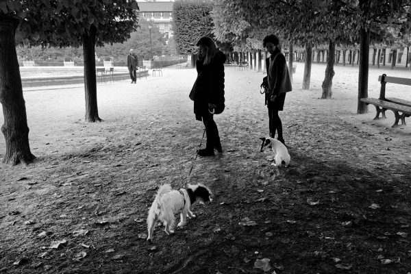 1er arrondissement - Se promener au jardin du Palais Royal