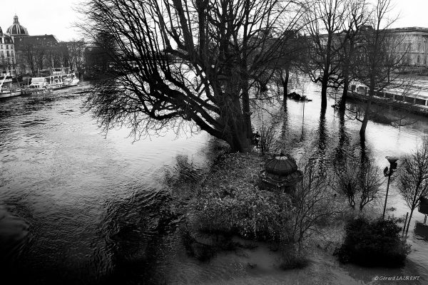 Crue de la seine square du Vert Galant #2 - ©Photo Gérard LAURENT