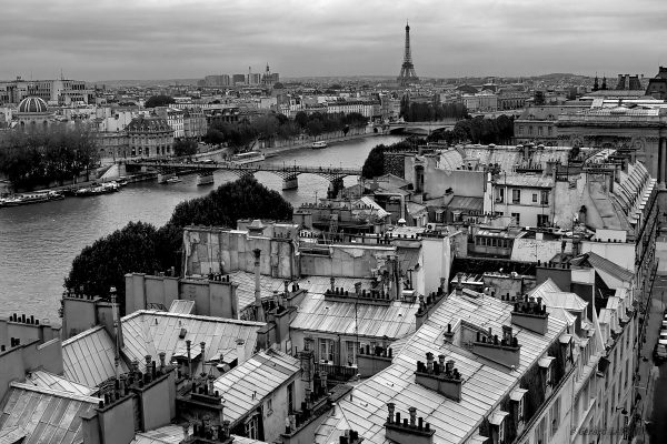 Le quartier des Prêtres Saint Germain l'Auxerrois depuis la terrasse de la samaritaine 