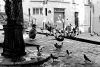 18ème arrondissement – L’enfant et les pigeons place Emile Goudeau