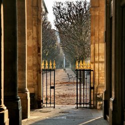 1er arrondissement – Les jardins du Palais Royal