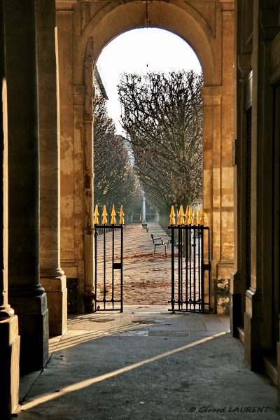 Les jardins du Palais Royal